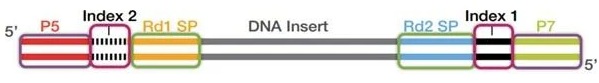 MUGenomicsCore tweet picture