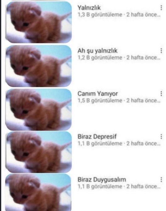 yitanwilliams's tweet photo. bir süredir https://t.co/b0JV6OHsW7