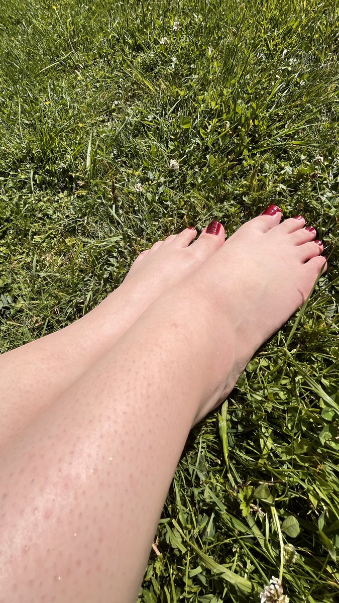 LushToe tweet media
