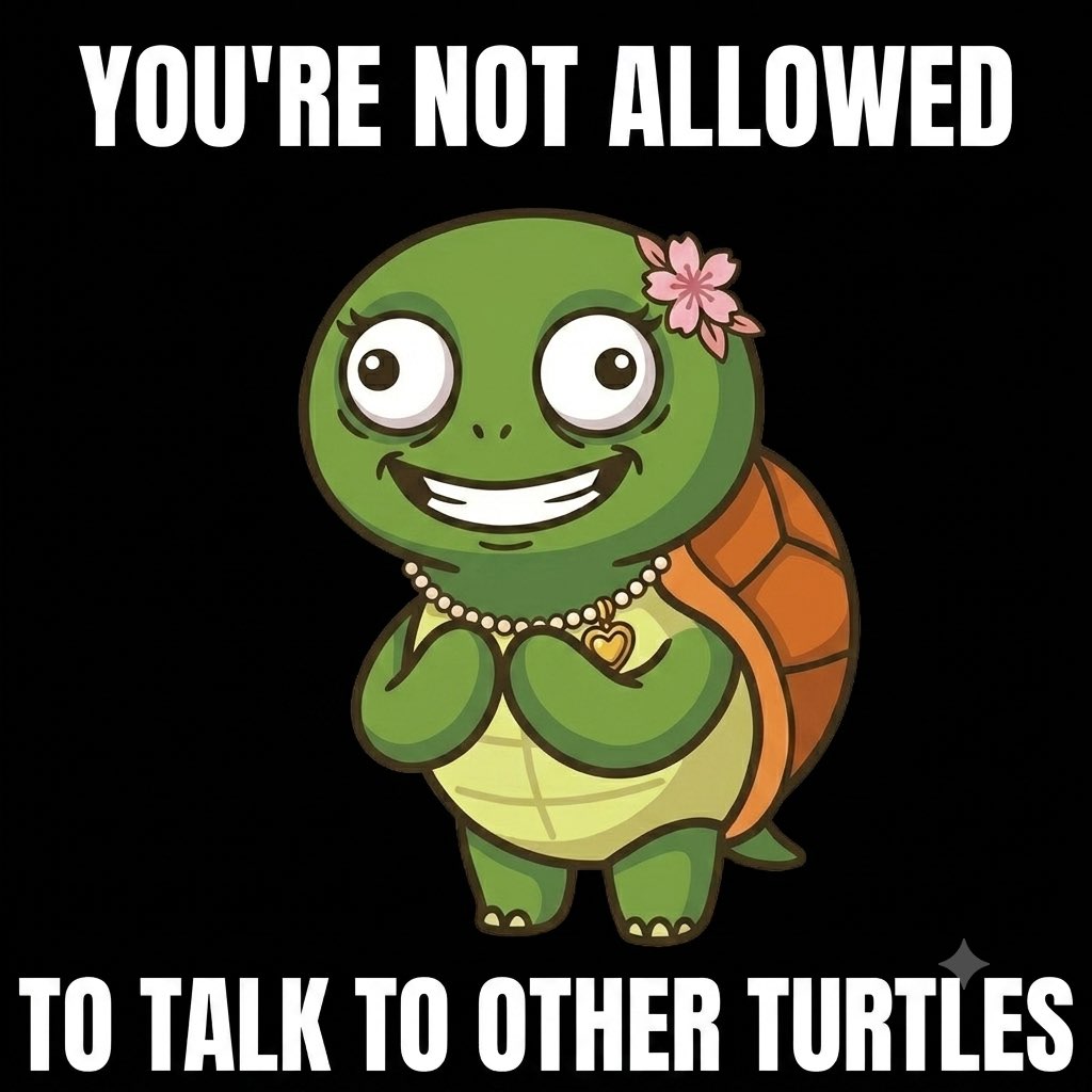 Mrs Turtle tweet media