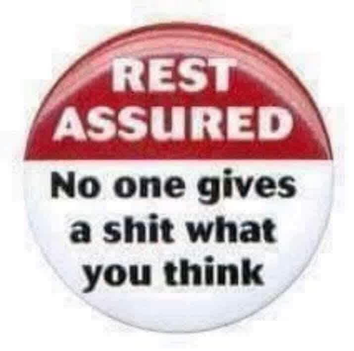 Vin_jet's tweet photo. @harryjsisson Harry's feelings are hurt! https://t.co/sthOy634PR