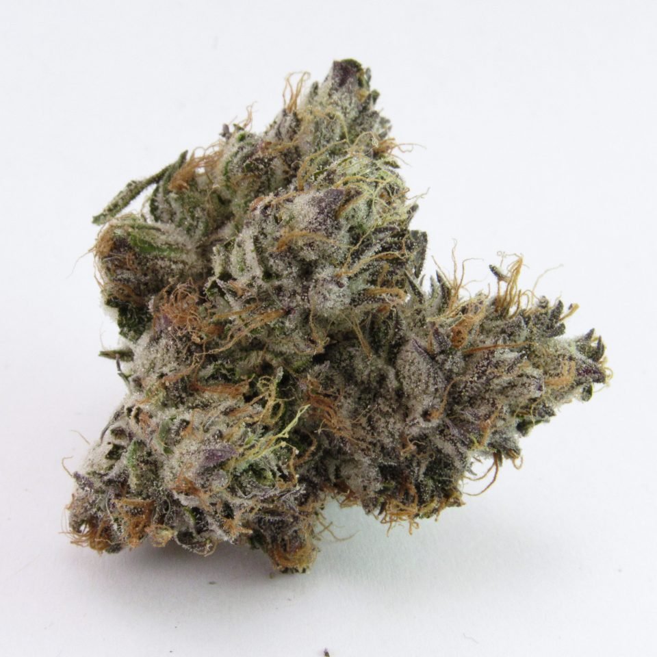 HIGH_TIMES_Mag's tweet photo. HIGH TIMES TERP' SHERPA by @davidrdowns: Strains of the month 🔥 

Fabulosa – Fig Farms (CA) https://t.co/8EPGLacpI4