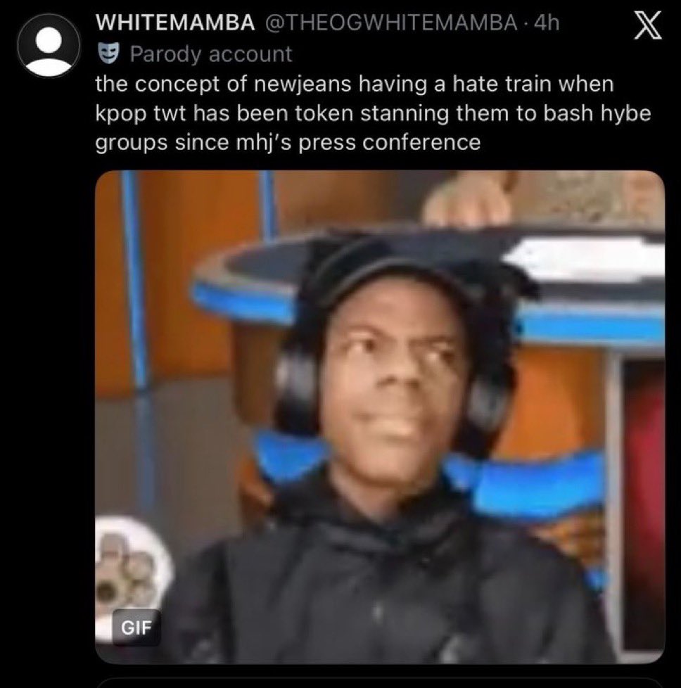 diana tweet media