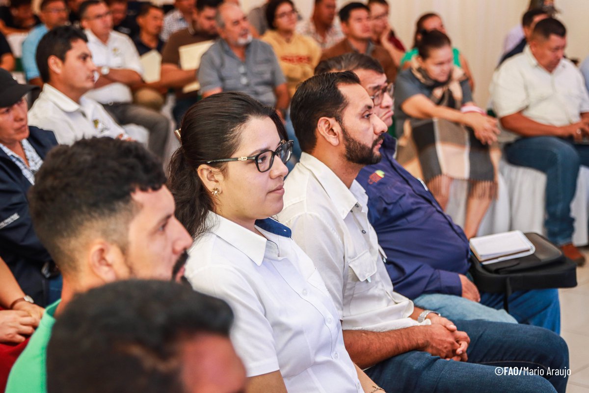 FAOElSalvador's tweet photo. En restauración de ecosistemas degradados, #RECLIMA en la zona Oriental del país, impulsó: 
🌳 55 planes territoriales
👥 +21,000 personas involucradas
🌱 54 viveros fortalecidos
🌎 Acciones para recuperar ecosistemas y proteger fuentes de agua https://t.co/cHi1USqRvK