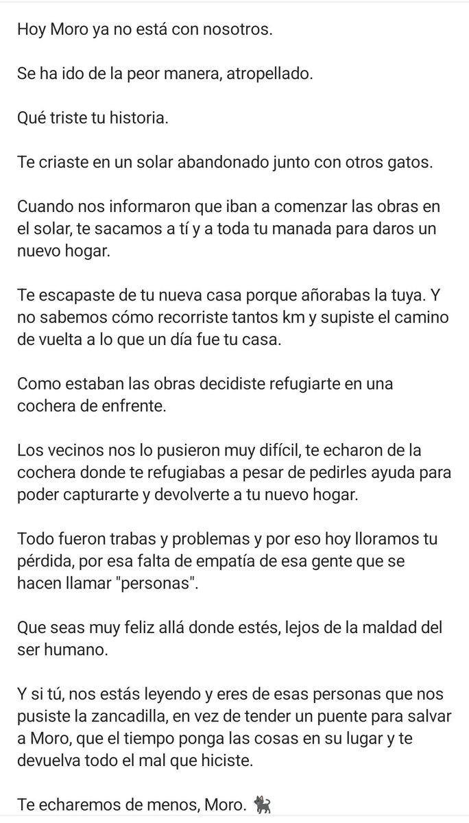 john_doe1237's tweet photo. Que tristeza DEP pequeñín que puta mierda es la gente y que rabia me da pensar que encima es en mi tierra vivimos rodeados de muy poca empatía y solidaridad https://t.co/vnR35lyMno