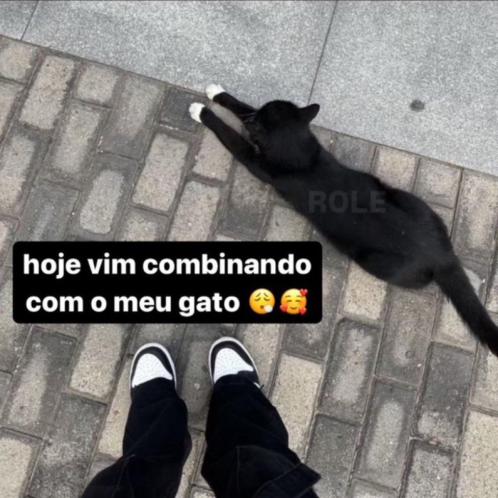 serirvaipinfern's tweet photo. https://t.co/hiDOKgsvWJ
