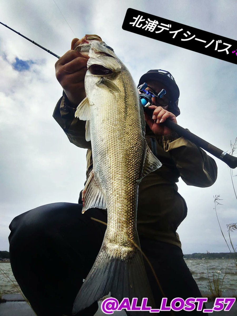 ALL_LOST915's tweet photo. 宿直明けのテンションでホームレイク北浦へ！

雨天荒れ気味で潮回りは大潮に北東風🌬️
絶対にウインディサイドでハマると思い、まだ荒れていない上流部から入ったらすぐに答えを返してくれました✌️ https://t.co/RcUr8YmDB7