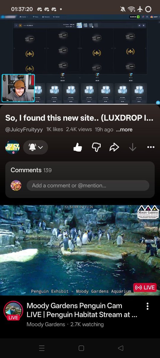 ftjaaaaay's tweet photo. @JuicyFruityyy @LuxDropCom All done letsgooo!
2H8w4aQPzif5DPCSGfgLmS8sTX2zNcFmGFsV4jkbAYDB https://t.co/0mf7aMZkUX