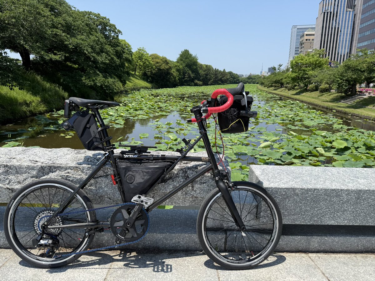 SAY_JUG's tweet photo. じゃあ、うちFCXも。
エンジンが枯木ですが。
#Tyrell
#Tyrellbike https://t.co/oboRNLGYhi
