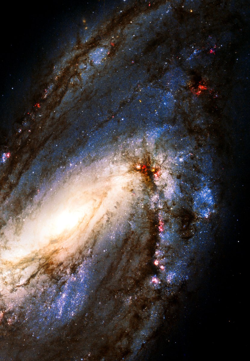 uhd2020's tweet photo. Messier 66 Close Up ✨ https://t.co/tdMKr8GO6M