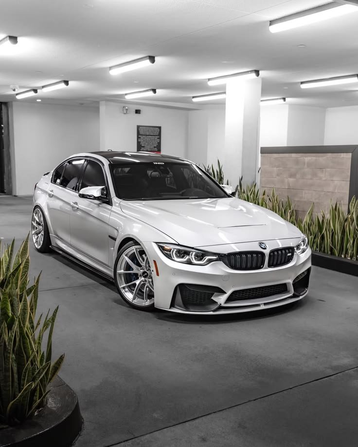 ppietraprado's tweet photo. I’ve always felt that if you can make a car look this good in a parking garage, you’ve done the geometry right. https://t.co/JWci3OaMg9