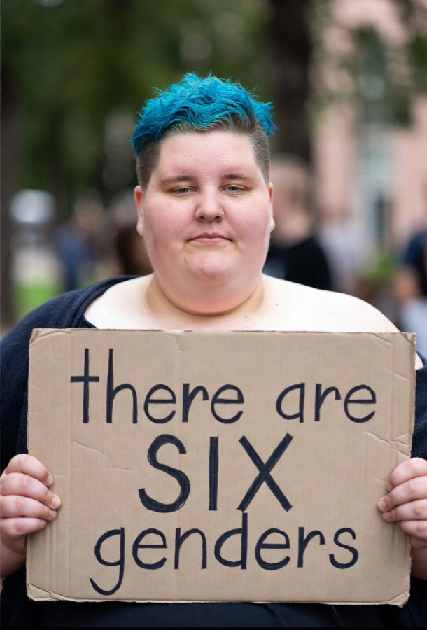 Anti Woke Memes tweet media