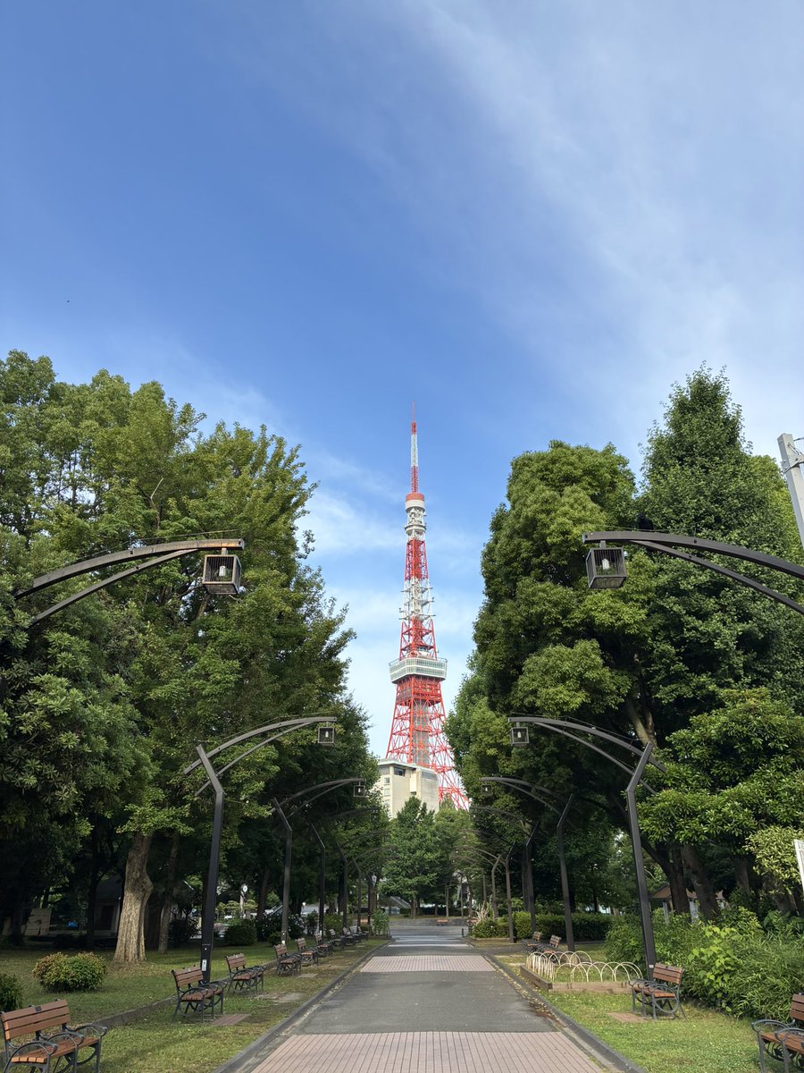CleanupFrontier's tweet photo. おはようクリーンナップ
今朝は天気も良く暑くなりそうです
花壇にはクチナシの白い花が咲き
甘い香りがします
ひまわりは日に日に背を伸ばして
朝顔のツルも流木に巻き付き伸びています
今年は朝顔咲くと良いですね
21日日9時から
芝公園4号地のクリーンナップです
是非、ご参加ください https://t.co/BdljCB8TTu