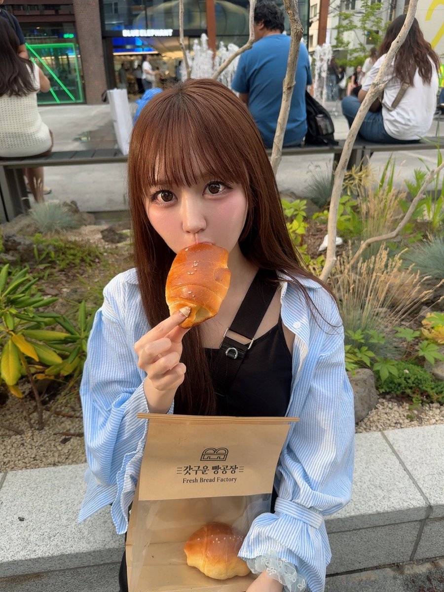 新木さくら🌸 (@araki_sakura) / Posts / X
