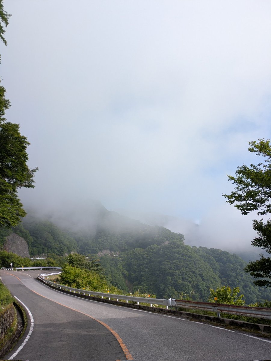 ibukiyama_drive's tweet photo. 【6/16(火)営業時間8:00〜20:00(最終入場18:00)】
おはようございます🌄雲多めの朝、少し青空も見えますが、日中は概ねくもり予報で雨の心配はなさそうです☁

7:30 山頂駐車場気象情報  
天気：くもり
気温：15.6℃   
風向：北東0.4m/s https://t.co/9T1FtJTWRy