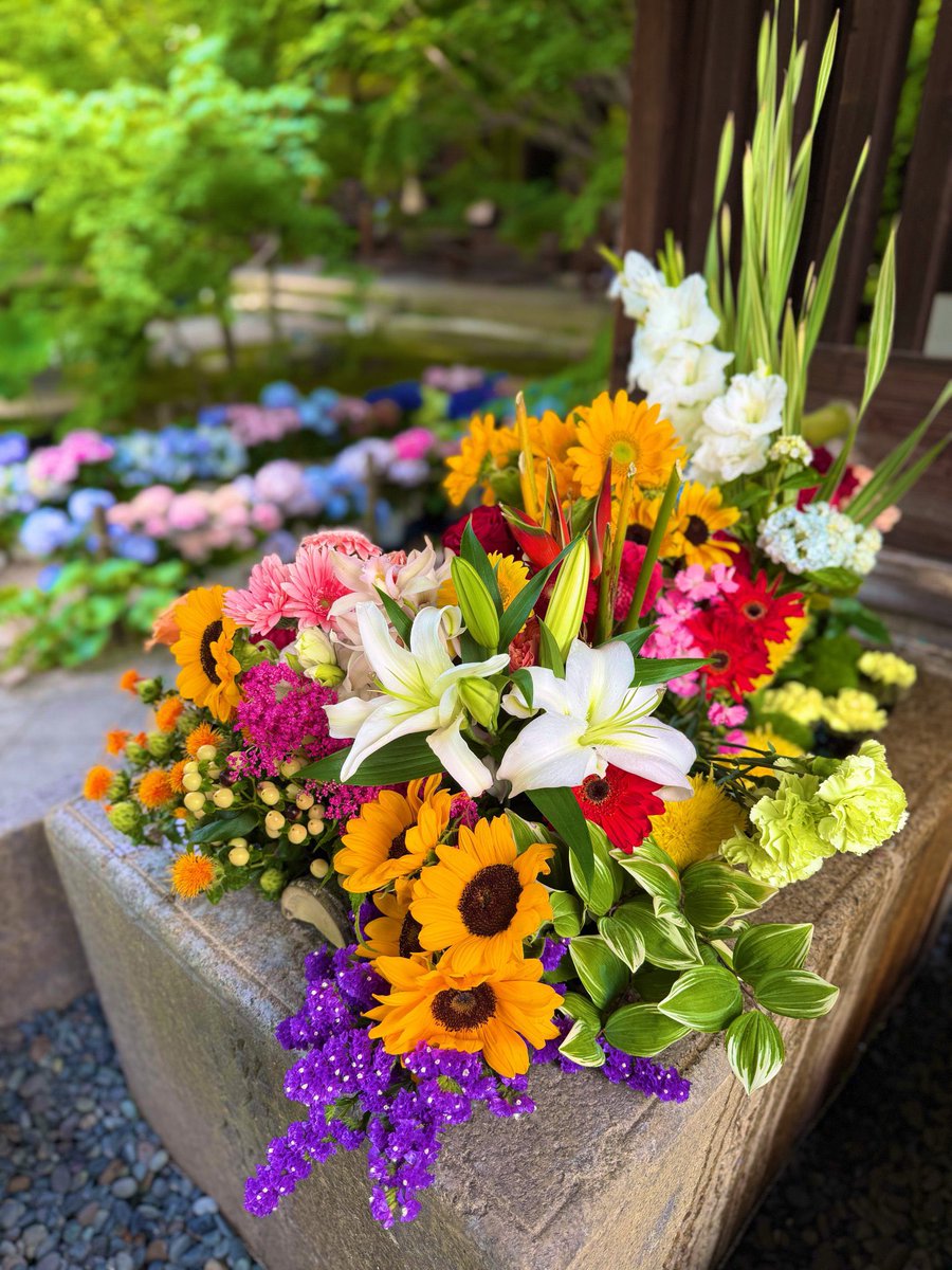 勝林寺 (@shourin_ji) / Posts / X