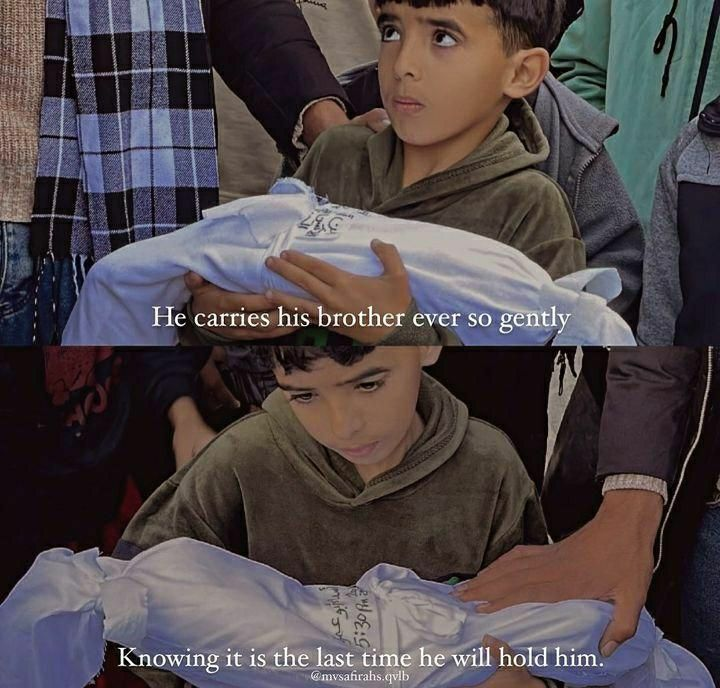 LilyFayed's tweet photo. Everyday story in Gaza....💔 https://t.co/b9Virc8jXR