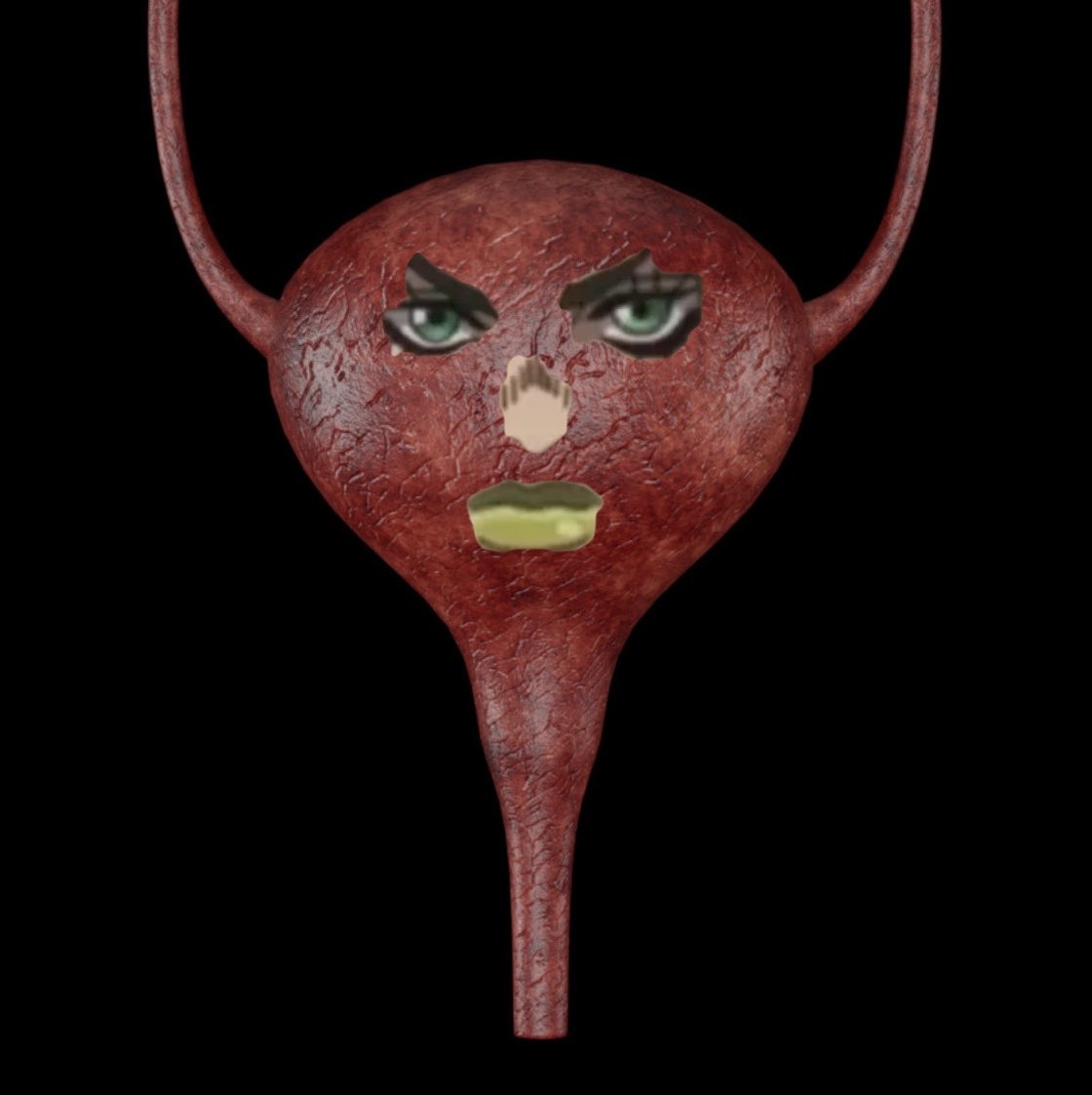 taycesoddly's tweet photo. Stone ocean characters as internal organs (a thread) 

Jolyne: Bladder https://t.co/CBwWlIZXnB
