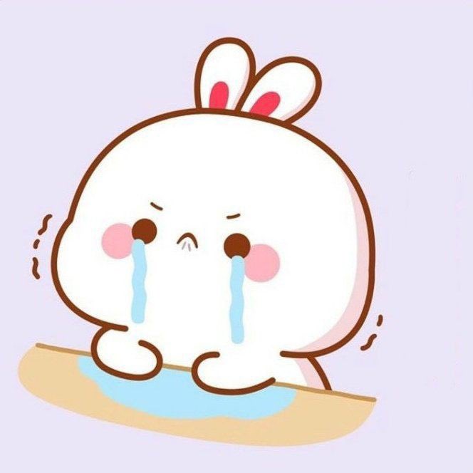 karinabllu's tweet photo. Not me crying at 1am because of this sweetest https://t.co/4tKASJIboF