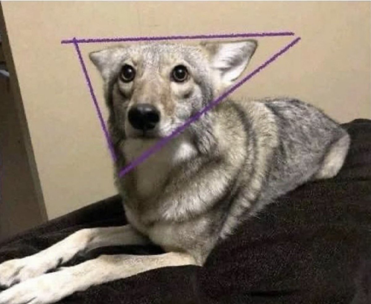 aspendoggy's tweet photo. this is no laughing  matter, its  science https://t.co/4Keb79cohD