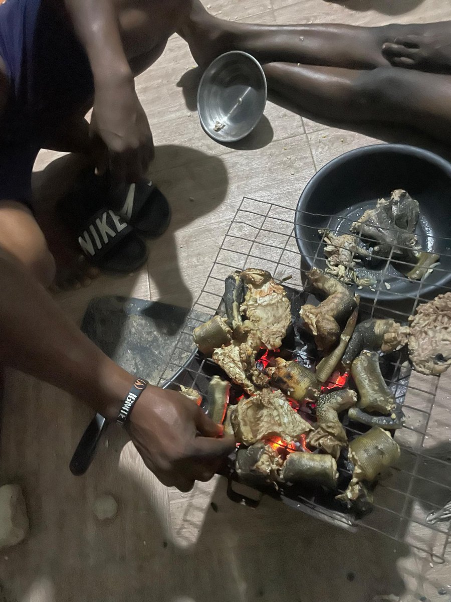 Tadexprof's tweet photo. After clearing these two ponds for stocking, we kpai these monitor lizards. Arthur must be enjoying this lifestyle.  E sweet die 😋 https://t.co/Wdq5HDKnTr