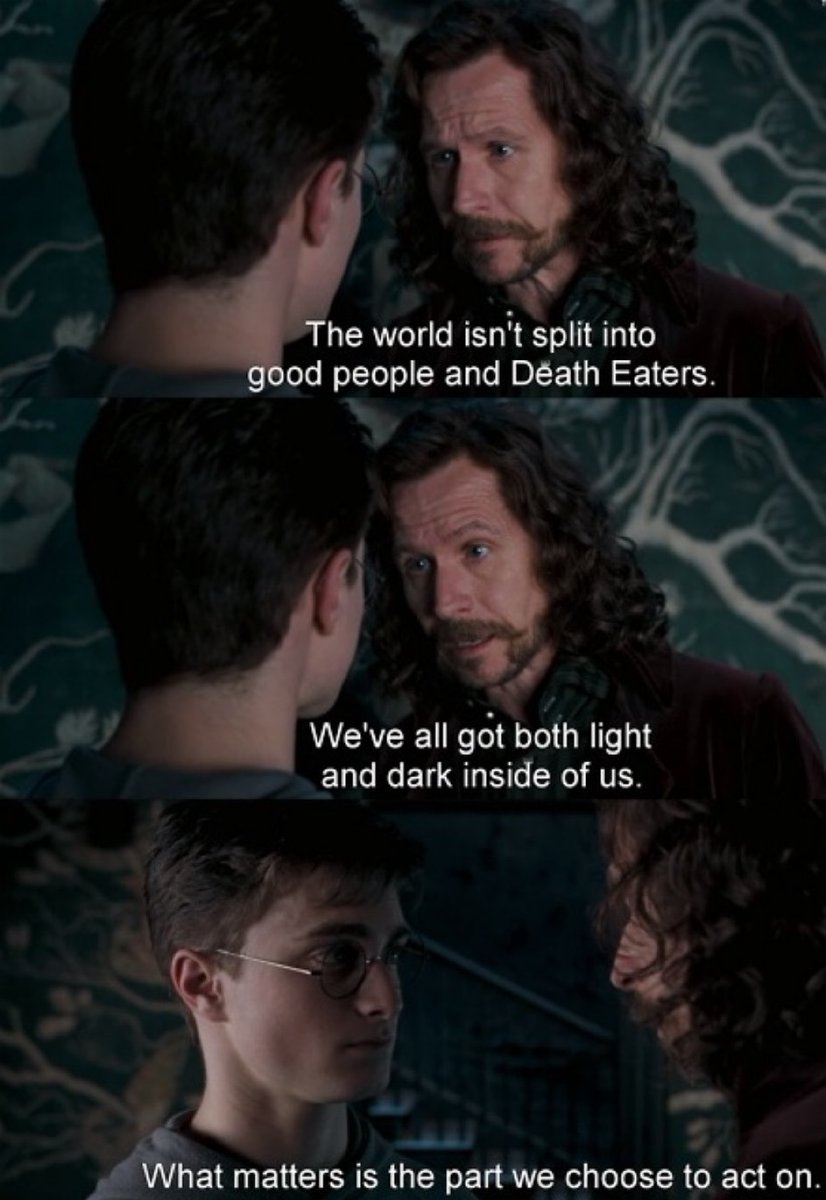 TheDailyHPotter's tweet photo. “We’ve all got both light and dark inside of us” https://t.co/7ZreNf7B2D