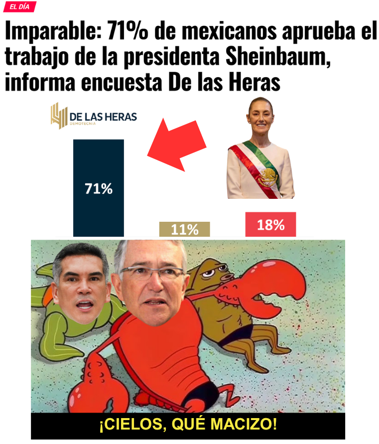 elgatopolitico_'s tweet photo. 🔴​🔴Ño que ño.🥁​🥁​
#DeLasHeras #LaPerritaDeTrump https://t.co/gnK3r19mZH