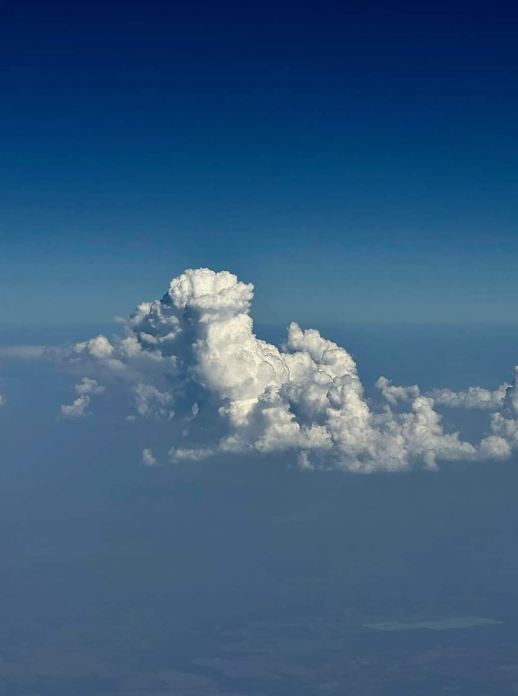 TweeetsOfDogs's tweet photo. Proof that all dogs go to heaven https://t.co/vJ3yP2XzUW
