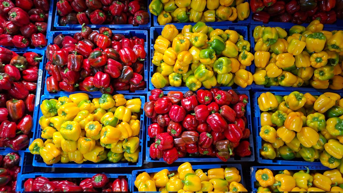 ritkatmun's tweet photo. Another Monday, another harvest in the books. https://t.co/SUHMRbtLv2