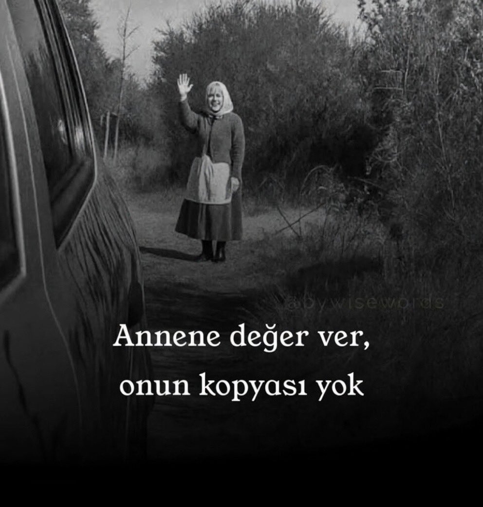 Psychological Therapy tweet media