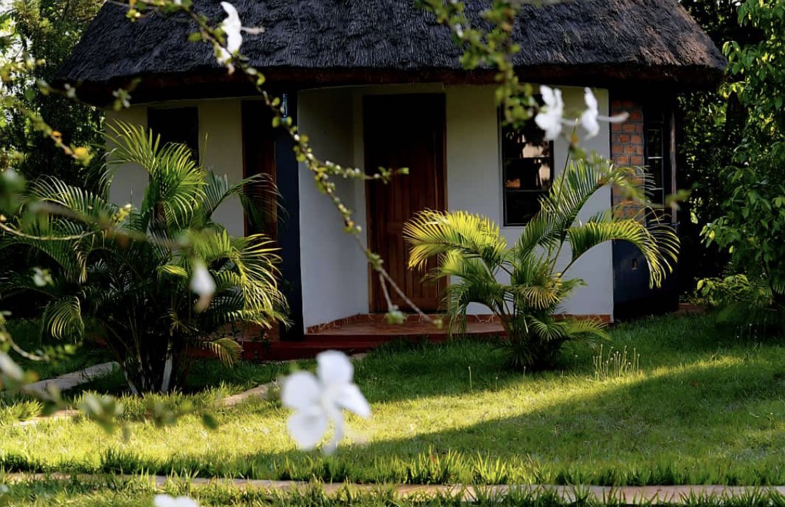 EscapeSafaris_'s tweet photo. Good evening fam
@EscapeSafaris_ 
Wishes you nothing but big wins through the week https://t.co/iR19limBfD