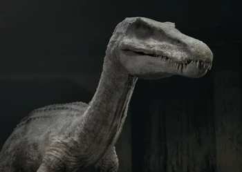Groxy_rex1's tweet photo. Y ya ni hablemos de que las series demuestran que Biosyn no era la única compañía intentando clonar y crear dinosaurios modificados. Por lo tanto, que ninguna variante pueda sobrevivir al frío no tiene mucho sentido... (+) https://t.co/6toMJtEZNn