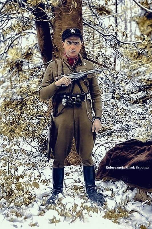 Polski Patriota tweet media