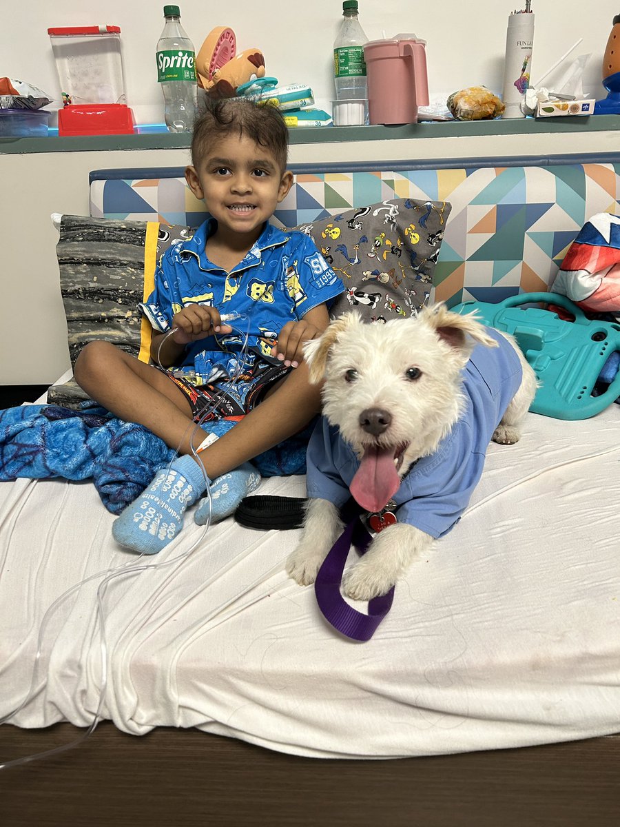 DekeHenriFurry's tweet photo. Good morning, Deke here! 
Today on my rounds at Summerlin Hospital I made some new friends while visiting the Pediatric Oncology Unit and Children’s Medical Center!
Have a great week everyone!
~ Deke🐾
#TherapyDog
#PawYouNeedIsLove https://t.co/gOETTtsJD3