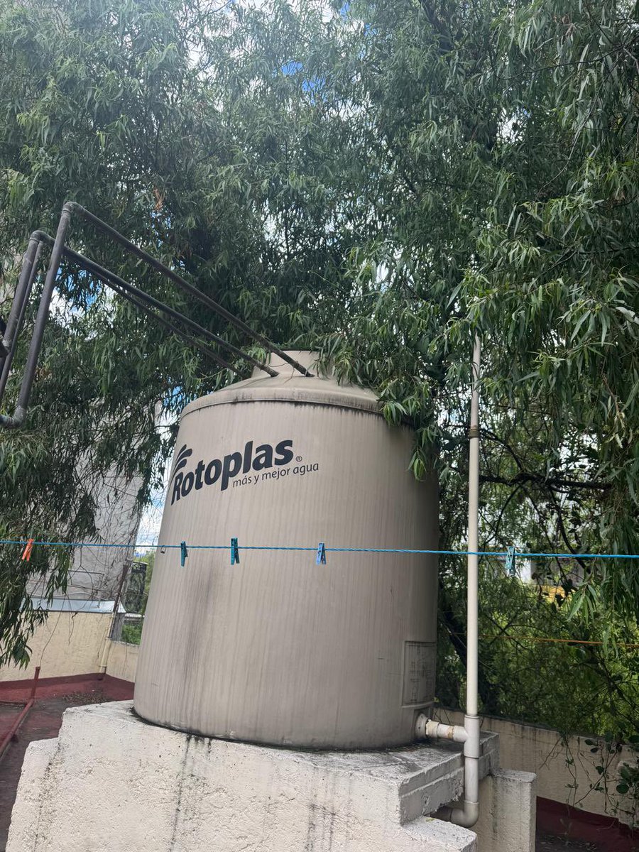 jan_clo's tweet photo. Acabo de pasar por la Calle de Choapan 14, Hipódromo, Cuauhtémoc, 06100, CDMX

Y hay un árbol que está en riesgo de caer, ya se quedó anclado a la casa que tiene enfrente. 
@AlcCuauhtemocMx @AlessandraRdlv @locatel_mx @SSC_CDMX @C5_CDMX @

Notificar a PROTECCIÓN CIVIL https://t.co/nd5qcqDTOc