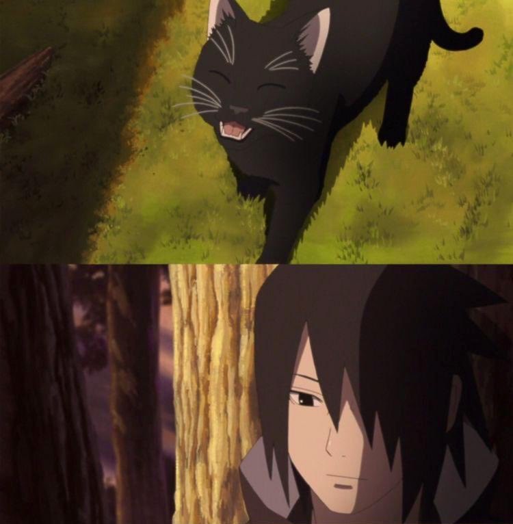 narutopeachs's tweet photo. I like to think sasuke thinks of naruto whenever he comes across any kitten in his path. as soon as he sees the cute whiskers and eyes, a naruto thought bubble immediately pops up in his head like a wife’s picture in a locket https://t.co/DdtUASiyKG
