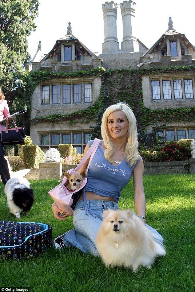 strwberrytarts's tweet photo. my autistic queen: holly madison 🎀💋 https://t.co/2F5kMLfj34