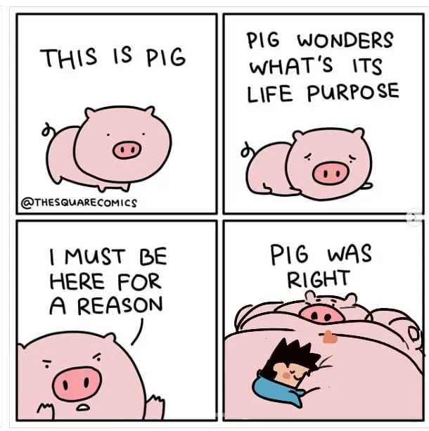 pakozilla's tweet photo. I think I haven't shared here this comic I edited a while back https://t.co/Uymxc9mJRX