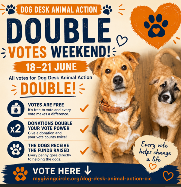 DogDeskAction's tweet photo. 🐾 YOUR VOTE GOES TWICE AS FAR 🐾

From 18–21 June, Dog Desk Animal Action is in Double Votes Weekend.

✔ Free votes
✔ Donations double your vote power
✔ The dogs receive the funds raised
Vote here ⬇️
 https://t.co/4WdRNs6HqX https://t.co/buVhv1OdVi