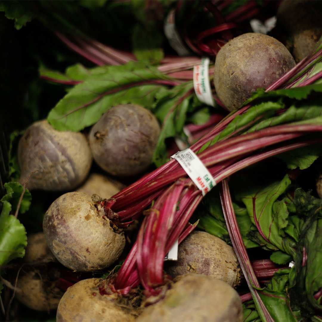 shepherds_table's tweet photo. We're grateful to receive a $3,000 Nourishing Our Neighbors grant from the @FoodLion Feeds Charitable Foundation! 

This support helps us purchase fresh produce and nutritious ingredients for neighbors experiencing food insecurity, poverty, and housing instability. https://t.co/3oeIdQV11k