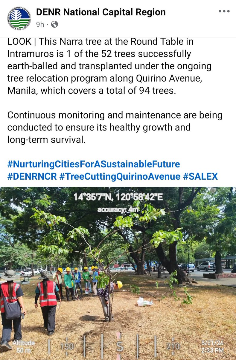 MangingisdaSays's tweet photo. Oh tapos? Gusto nyo ng medal?

Ang liit ng punong iyan kumpara sa decades-old mature trees na basta-basta nyo na lang pinayagang maputol. 

Inutil kayo kahit kailan @DENROfficial https://t.co/Dhp2ngTrWr