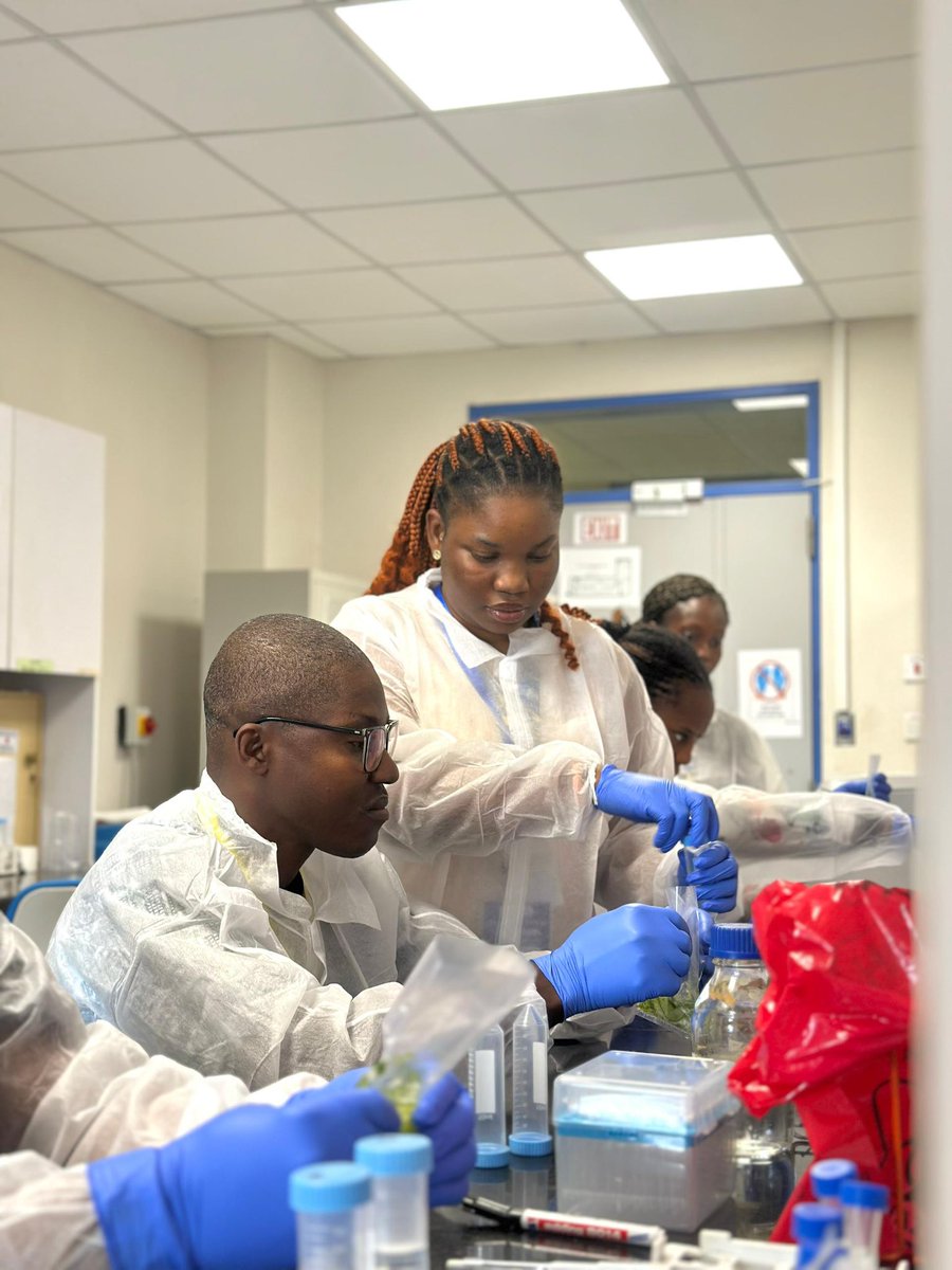 NoguchiBact's tweet photo. 🔬 Afternoon session at Noguchi Bacteriology!

Hands-on with foodborne pathogen detection : participants practiced serial dilution and the pour plate techniques to enumerate and isolate bacterial pathogens. 🧫

#FoodSafety #NoguchiBacteriology #Microbiology https://t.co/2BFuWQUshT