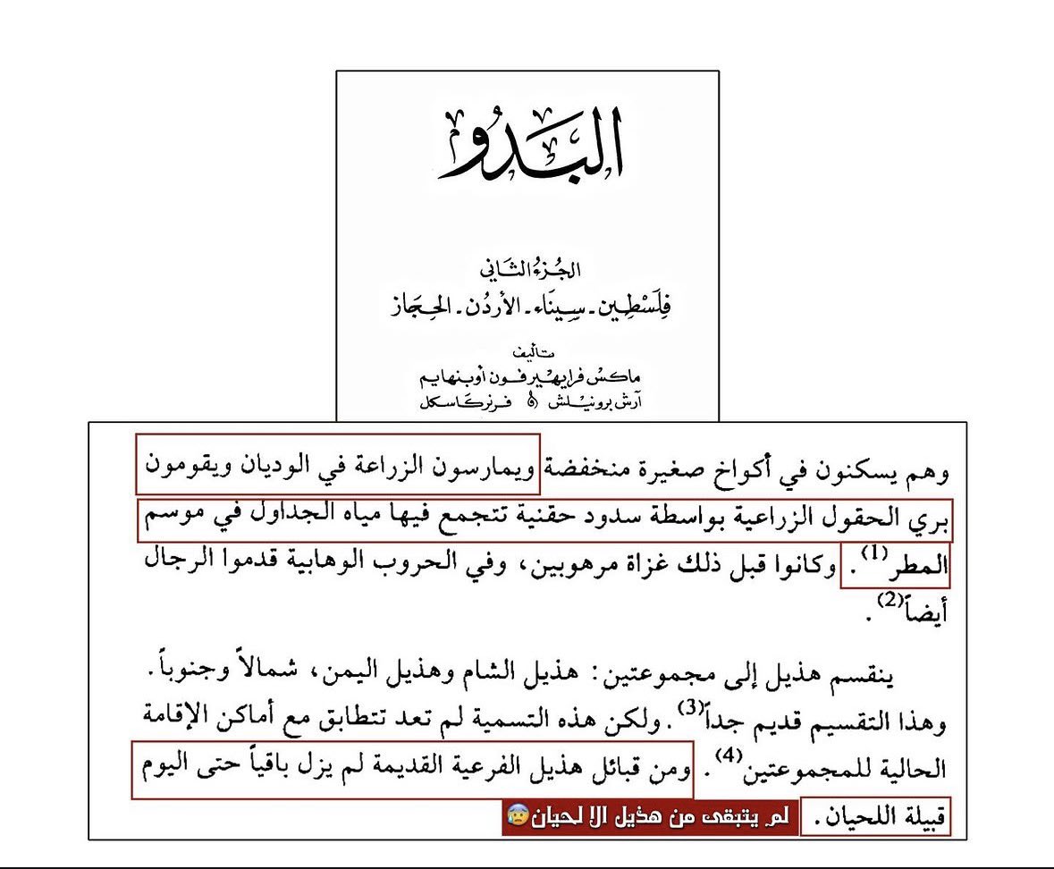 عنان الفهمي tweet media
