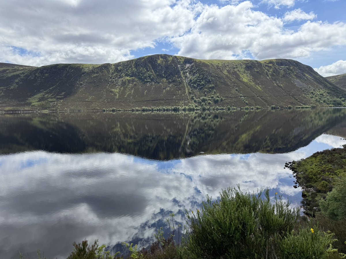 AngWish66's tweet photo. Beautiful day walking round Loch Muick today. https://t.co/7qnu2eVcyh