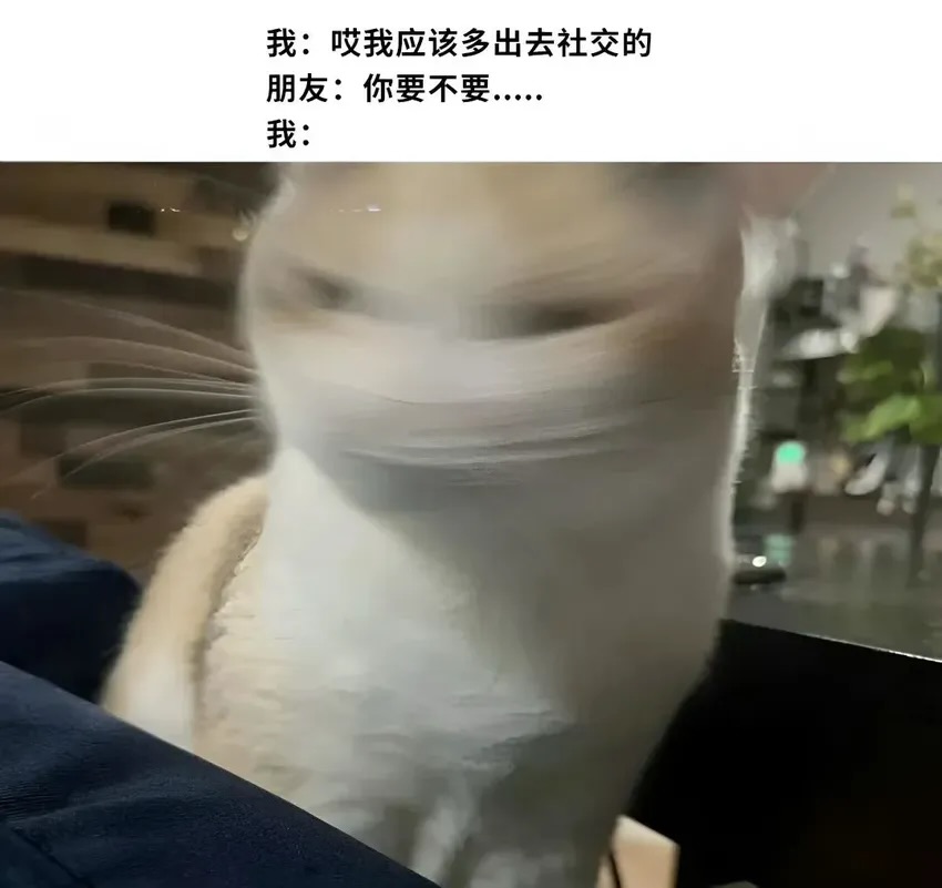YunJiu's tweet photo. https://t.co/lnZcFngqOh