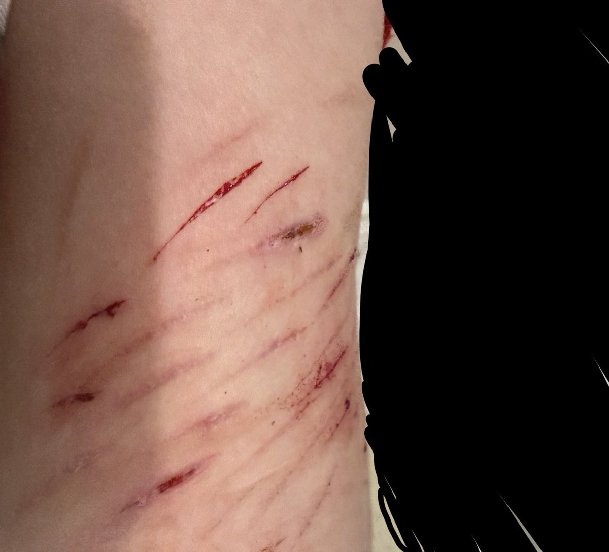fishRprettykewl's tweet photo. https://t.co/sII0MOBFNU
