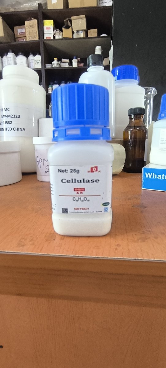 DelsonScientifi's tweet photo. In research settings, cellulase is commonly used to break down cellulose in plant biomass, enabling the study of biofuel production and enzymatic degradation mechanisms.

Contact /WhatsApp us now. +2348067219578 https://t.co/pWzUIwzqp0