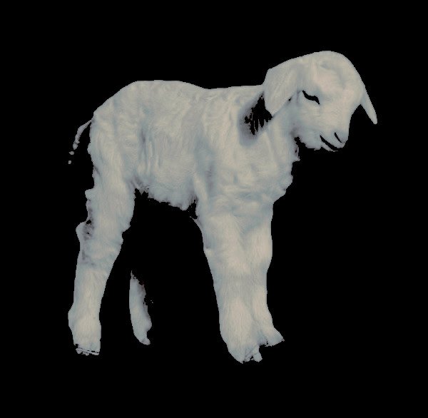 slaughterslamb's tweet photo. 𝖘𝐡𝐞     𝐰𝐚𝐬     𝐞𝐢𝐭𝐡𝐞𝐫      𝒇𝒊𝒆𝒓𝒄𝒆𝒍𝒚      𝒆𝒙𝒄𝒊𝒕𝒆𝒅    𝐨𝐫     𝒄𝒐𝒐𝒍     𖬺     𝒅𝒆𝒕𝒂𝒄𝒉𝒆𝒅. https://t.co/8pmMfMg7o6