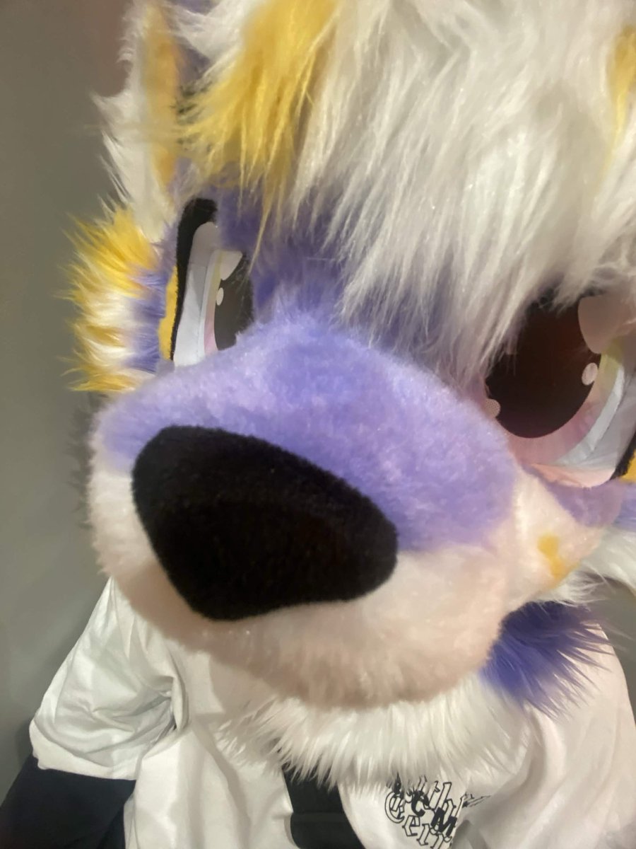 Dacno35's tweet photo. His food didn’t arrive 😔

#furry #fursuit #fursona https://t.co/56IscIPLv8
