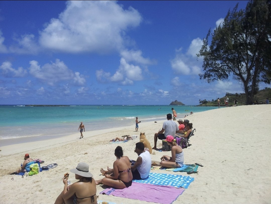 YJnTH's tweet photo. IN HAWAII https://t.co/n4KELUZnFo
